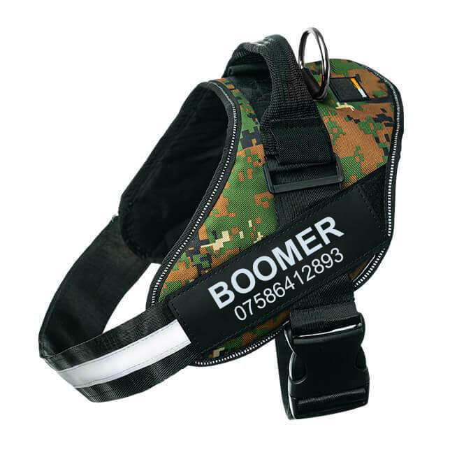 ZenWalk™ Personalized No Pull Dog Harness