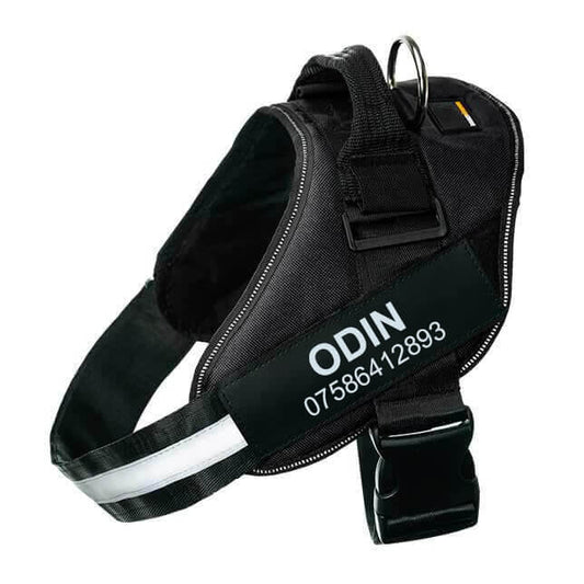 Lifetime Warranty Personalized Pawvani™ NO PULL Harness